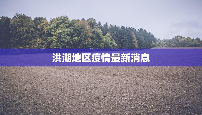 洪湖地区疫情最新消息