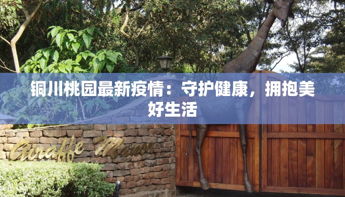 铜川桃园最新疫情：守护健康，拥抱美好生活