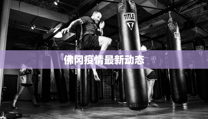 佛冈疫情最新动态