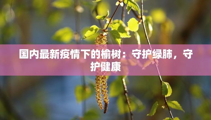 国内最新疫情下的榆树：守护绿肺，守护健康
