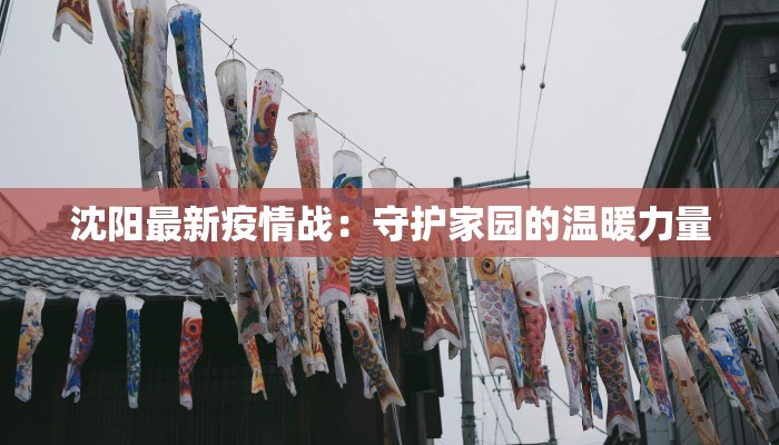 沈阳最新疫情战：守护家园的温暖力量