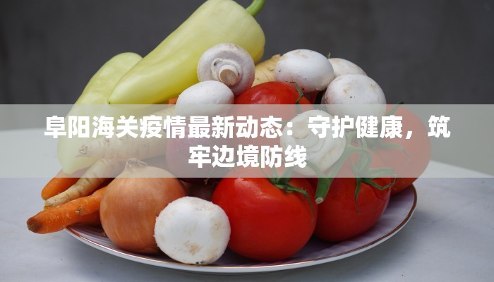 阜阳海关疫情最新动态：守护健康，筑牢边境防线