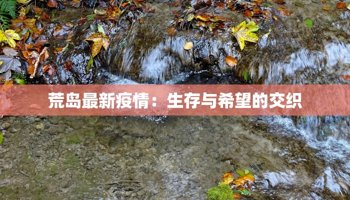 荒岛最新疫情：生存与希望的交织
