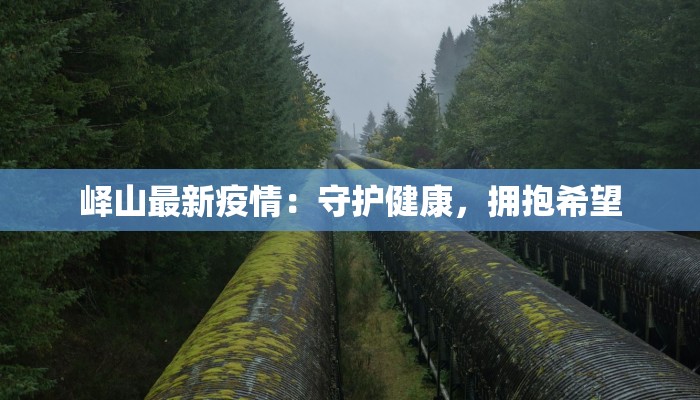 峄山最新疫情：守护健康，拥抱希望