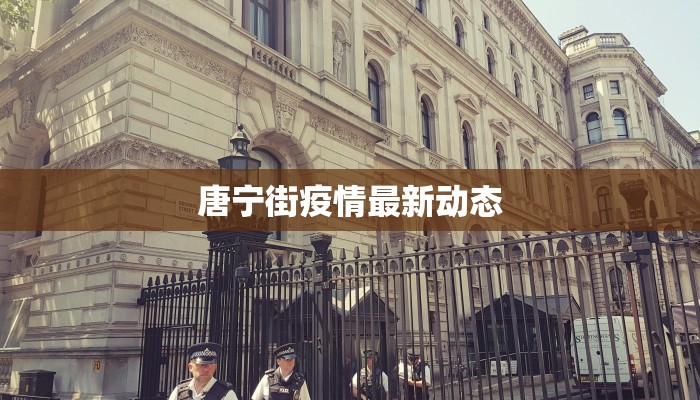 唐宁街疫情最新动态
