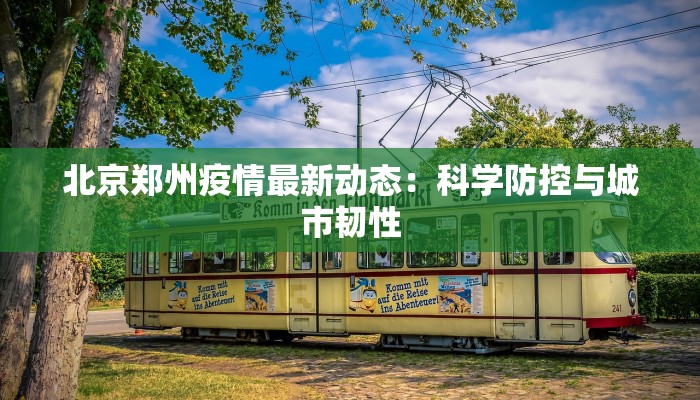 北京郑州疫情最新动态：科学防控与城市韧性