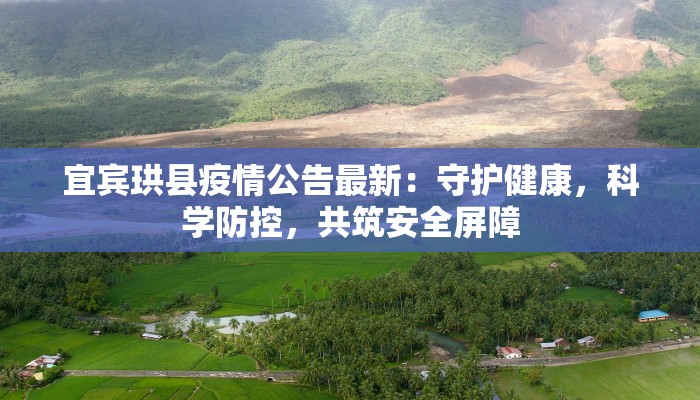 宜宾珙县疫情公告最新：守护健康，科学防控，共筑安全屏障