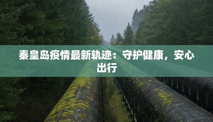 秦皇岛疫情最新轨迹：守护健康，安心出行
