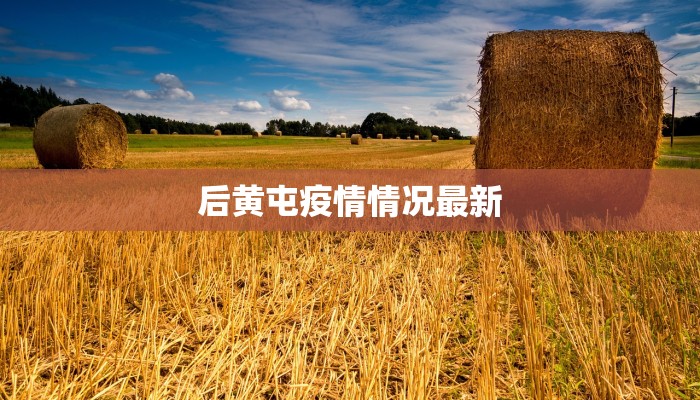 后黄屯疫情情况最新