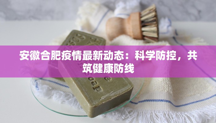 安徽合肥疫情最新动态：科学防控，共筑健康防线