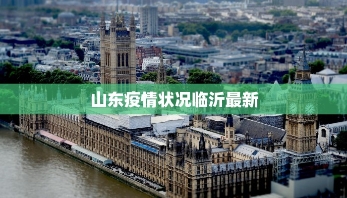山东疫情状况临沂最新
