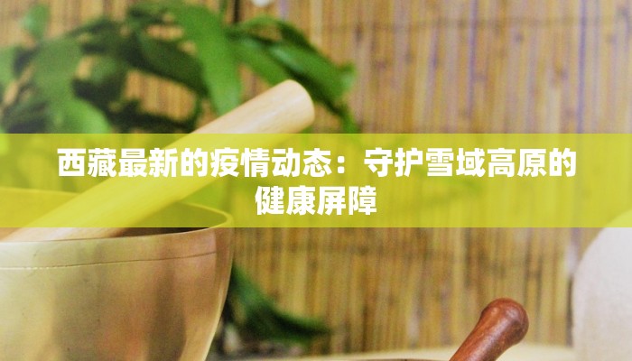 西藏最新的疫情动态:守护雪域高原的健康屏障