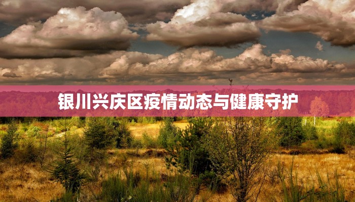 银川兴庆区疫情动态与健康守护