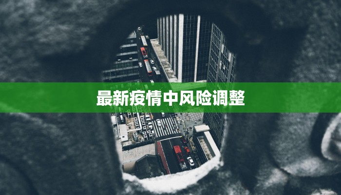 最新疫情中风险调整