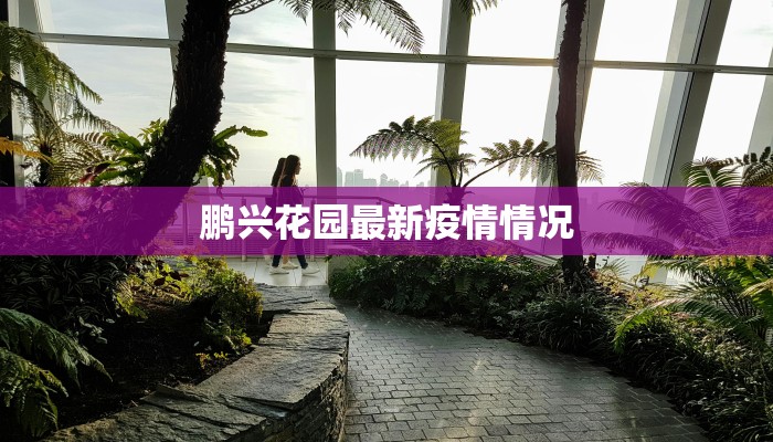 鹏兴花园最新疫情情况