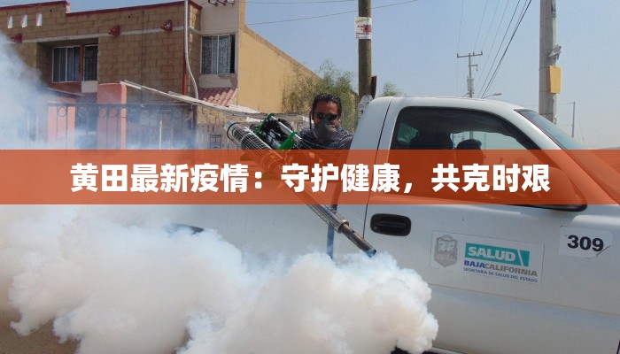 黄田最新疫情：守护健康，共克时艰