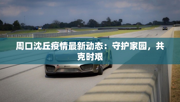 周口沈丘疫情最新动态：守护家园，共克时艰