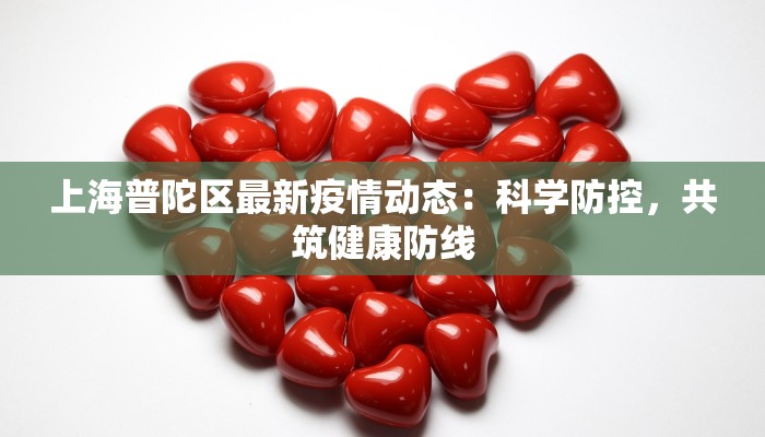 上海普陀区最新疫情动态：科学防控，共筑健康防线