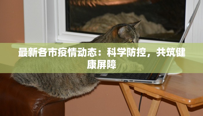 最新各市疫情动态:科学防控,共筑健康屏障