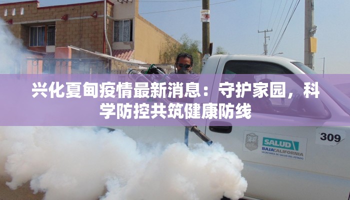 兴化夏甸疫情最新消息：守护家园，科学防控共筑健康防线
