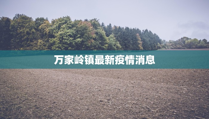 万家岭镇最新疫情消息