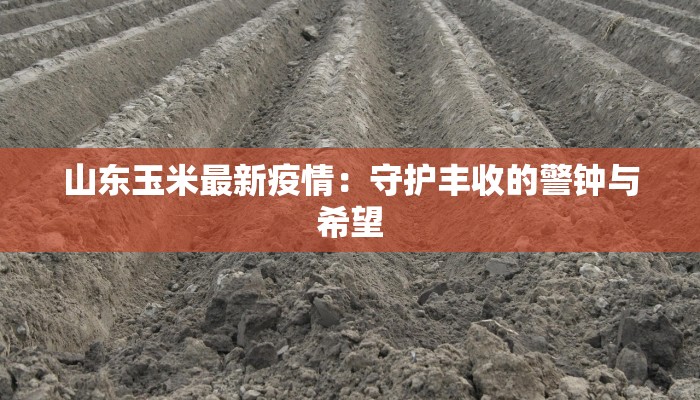 山东玉米最新疫情：守护丰收的警钟与希望