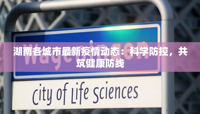 湖南各城市最新疫情动态：科学防控，共筑健康防线