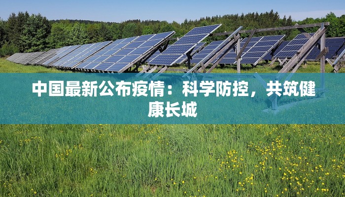 中国最新公布疫情:科学防控,共筑健康长城