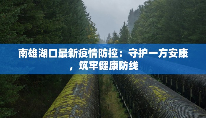 南雄湖口最新疫情防控：守护一方安康，筑牢健康防线