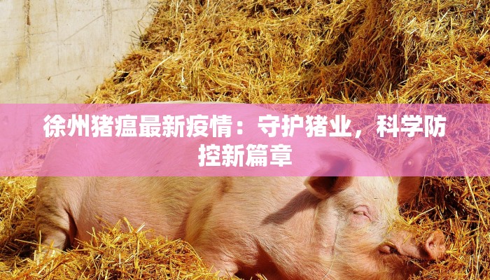 徐州猪瘟最新疫情:守护猪业,科学防控新篇章