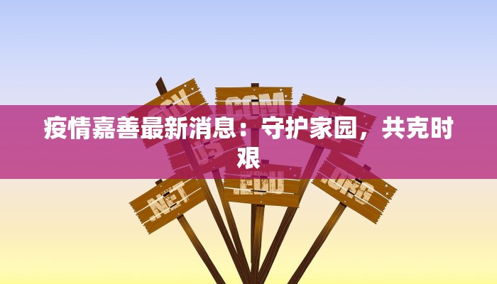 疫情嘉善最新消息:守护家园,共克时艰