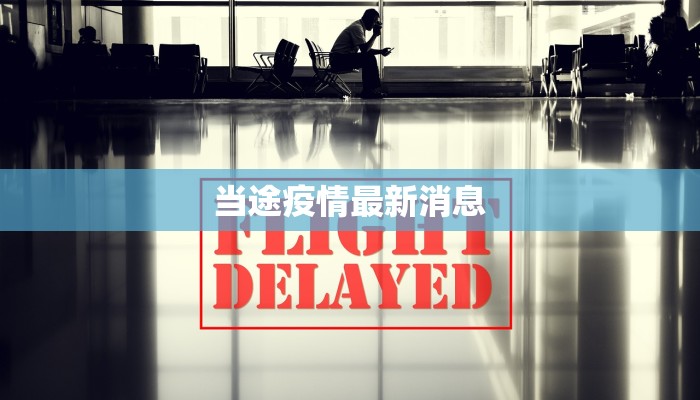 当途疫情最新消息