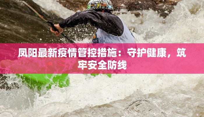 凤阳最新疫情管控措施:守护健康,筑牢安全防线