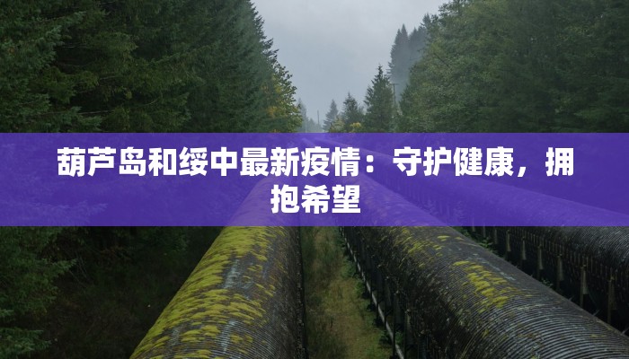 葫芦岛和绥中最新疫情：守护健康，拥抱希望