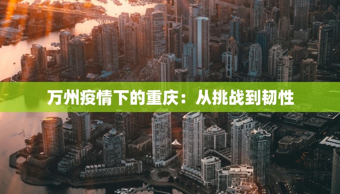 万州疫情下的重庆:从挑战到韧性