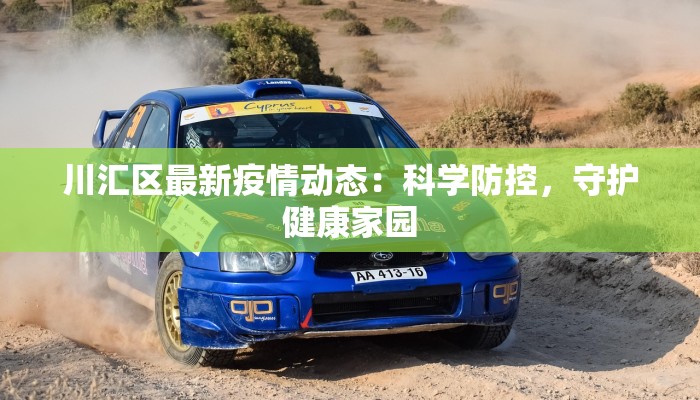 川汇区最新疫情动态:科学防控,守护健康家园