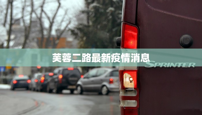 芙蓉二路最新疫情消息